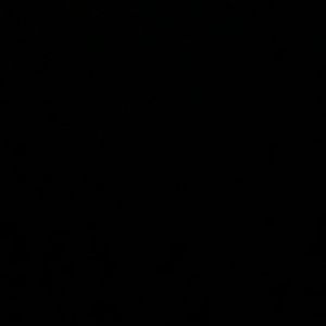 Meet your Posher, Sammy